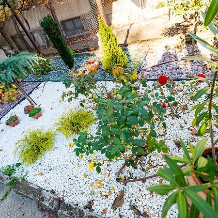Devin Coworking & Coliving Exterior foto